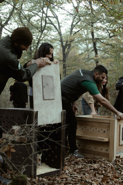 Leyla Aliyeva, Arzu Aliyeva, and Alena Aliyeva participate in ecological actions in Lankaran (PHOTO)