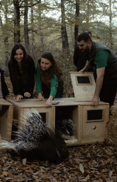 Leyla Aliyeva, Arzu Aliyeva, and Alena Aliyeva participate in ecological actions in Lankaran (PHOTO)