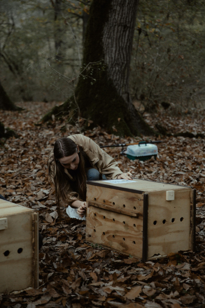 Leyla Aliyeva, Arzu Aliyeva, and Alena Aliyeva participate in ecological actions in Lankaran (PHOTO)