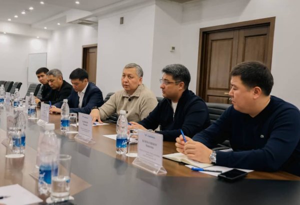 Kyrgyzstan, China take practical steps on bonded warehouse at former's Manas airport