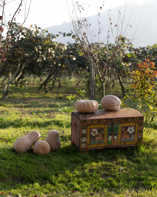 Leyla Aliyeva, Arzu Aliyeva, and Alena Aliyeva visit farming enterprise in Lankaran (PHOTO)