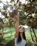 Leyla Aliyeva, Arzu Aliyeva, and Alena Aliyeva visit farming enterprise in Lankaran (PHOTO)