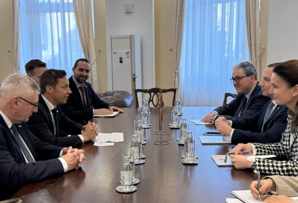 Serbia, Switzerland explore new avenues for economic collaboration (PHOTO)