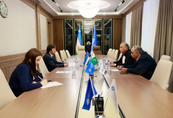 Uzbekistan, Pakistan move toward industrial and investment partnership
