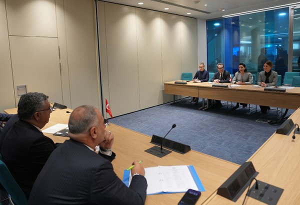 Georgia, Türkiye discuss Black Sea cooperation, new ferry routes at IMO