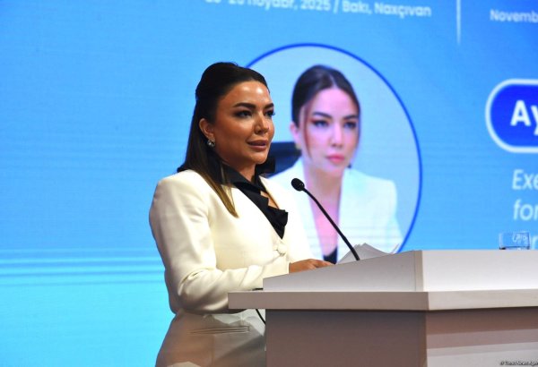 Azerbaijan, Uzbekistan set to launch joint NGO grant program - official