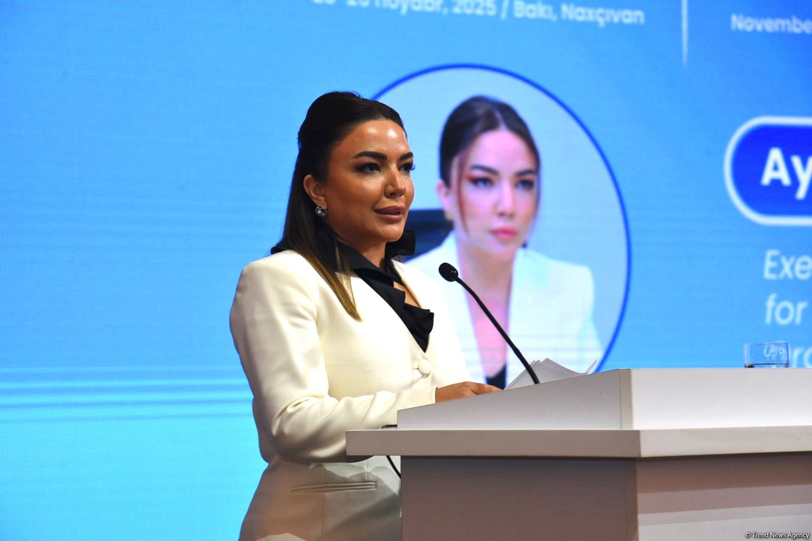 Azerbaijan, Uzbekistan set to launch joint NGO grant program - official