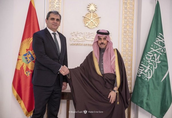 Saudi Arabia eyes new investment projects in Montenegro (PHOTO)