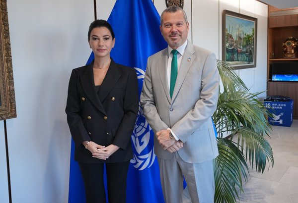 Georgia, IMO discuss Middle Corridor safety, digitalization and green standards