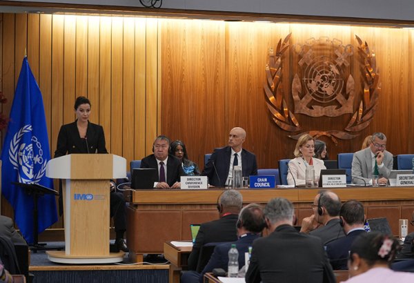 Georgia expects maritime container growth by year-end