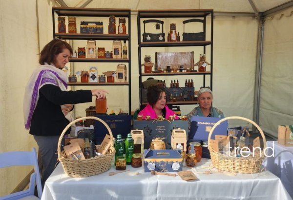 Azerbaijan's Kalbajar hosts photo exhibition for its City Day (PHOTO)