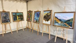 Azerbaijan's Kalbajar hosts photo exhibition for its City Day (PHOTO)