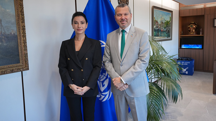 Georgia, IMO discuss Middle Corridor safety, digitalization and green standards