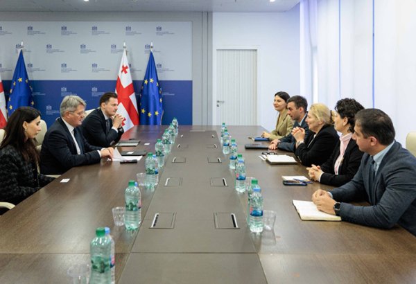 Georgia, Energy Community discuss reforms and Black Sea power link