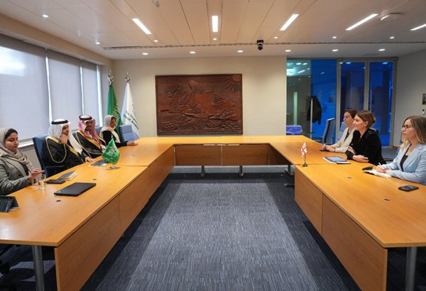 Georgia seeks to boost Middle Corridor competitiveness with Saudi support