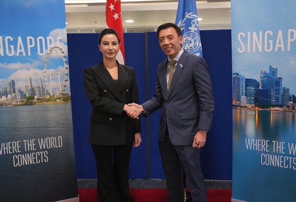 Georgia, Singapore explore transport cooperation, eye direct flights