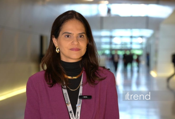 Brazil eyes signing memo on digital co-op with Azerbaijan (Exclusive)