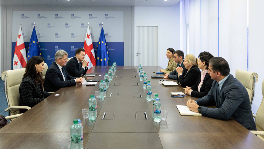 Georgia, Energy Community discuss reforms and Black Sea power link