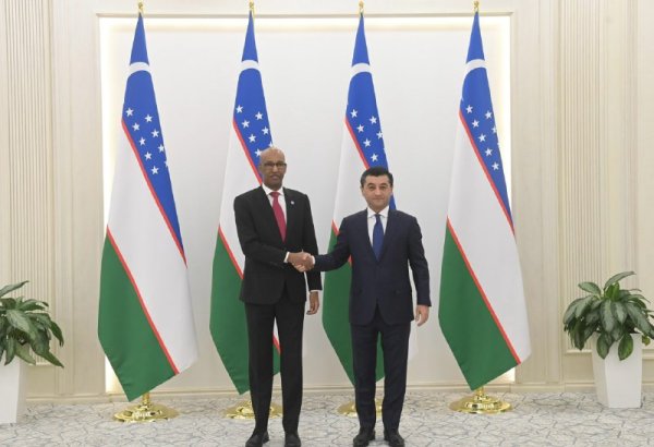Uzbekistan receives credentials of Somalia’s first ambassador