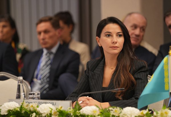 Georgia seeks to boost Middle Corridor as part of transcontinental network - minister