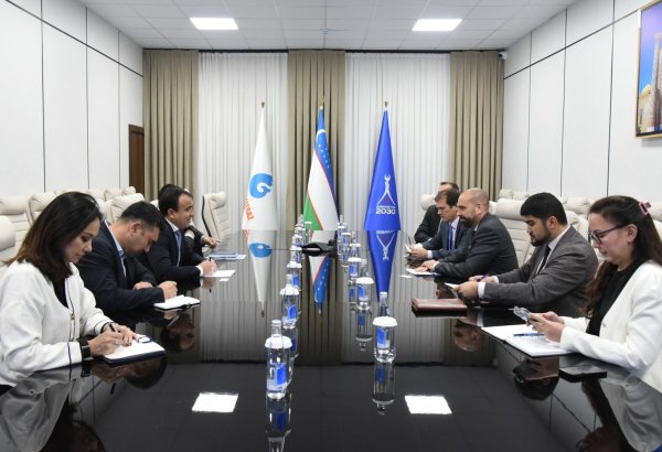 Uzbekistan, Canada strengthen dialogue on innovation and energy projects
