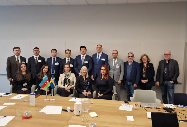 Azerbaijan, Sweden looking into ways to team up in taxation field