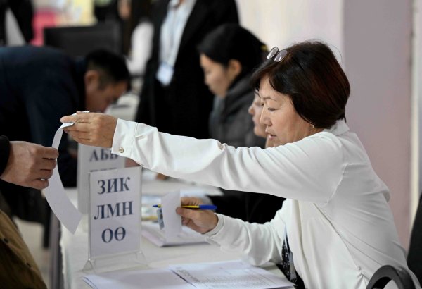 Kyrgyzstan reports 25% voter turnout in early parliamentary elections by 16:00