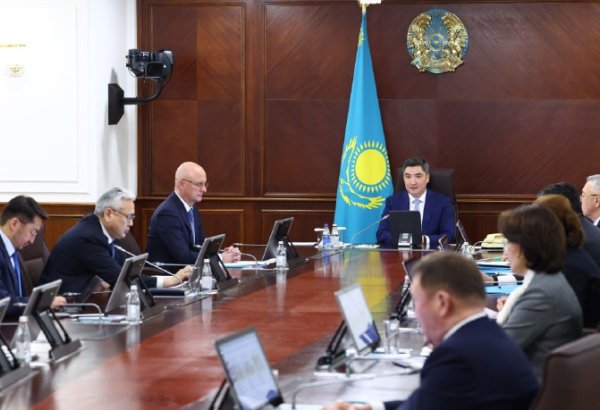 Kazakhstan unveils new goals for expanding nation's manufacturing sector