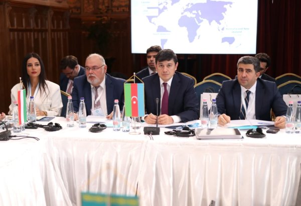 Azerbaijan sets benchmark: OTS rolls out new diaspora interaction blueprint (PHOTO)