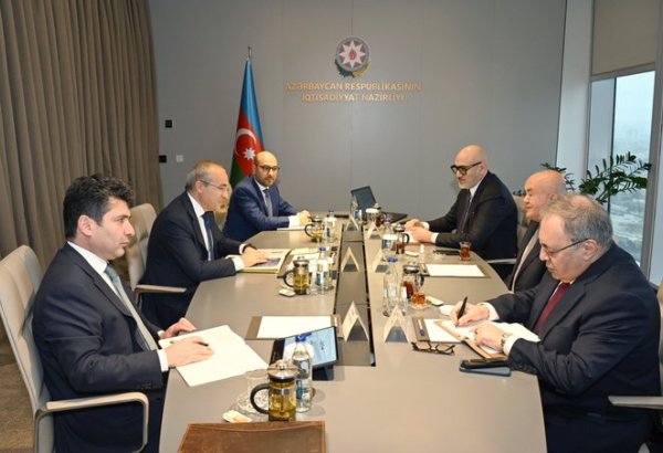 Azerbaijani minister discusses pharmaceutical factory project with Turkish company