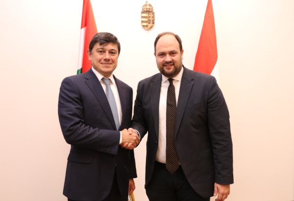 Azerbaijan, Hungary pave way for diaspora cooperation issues (PHOTO)