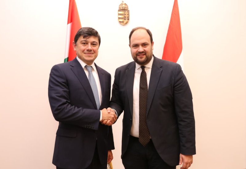 Azerbaijan, Hungary pave way for diaspora cooperation issues (PHOTO)