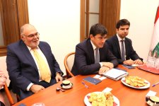 Azerbaijan, Hungary pave way for diaspora cooperation issues (PHOTO)