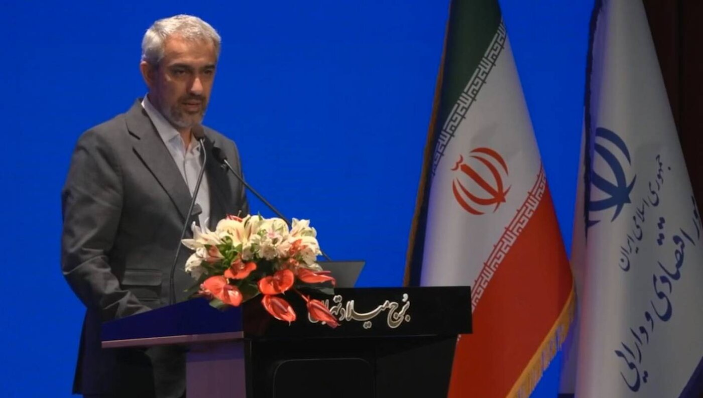 Iranian minister stresses nation's insurance sector's digitalization
