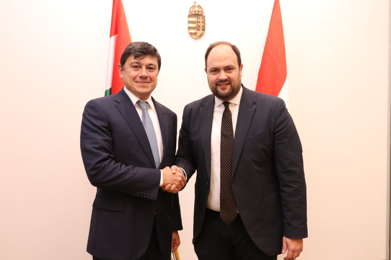 Azerbaijan, Hungary pave way for diaspora cooperation issues (PHOTO)