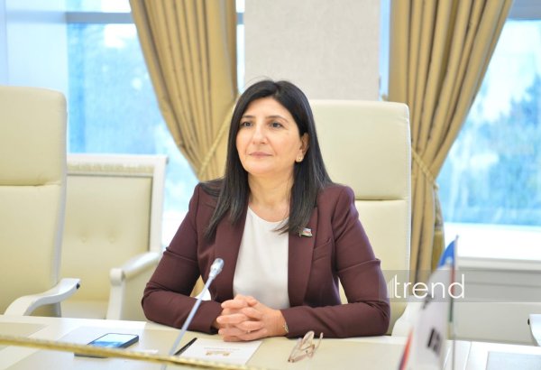 Azerbaijani MP Sevil Mikayilova attends 300th meeting of IPU Executive Committee in Geneva