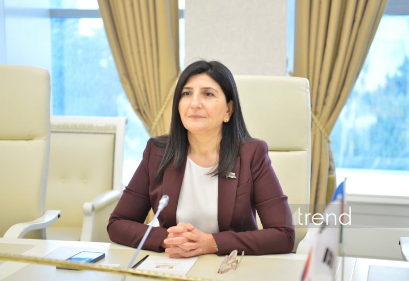 Azerbaijani MP Sevil Mikayilova attends 300th meeting of IPU Executive Committee in Geneva