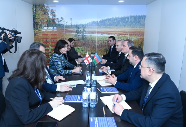 Azerbaijani, Georgian ministers discuss new joint projects (PHOTO)