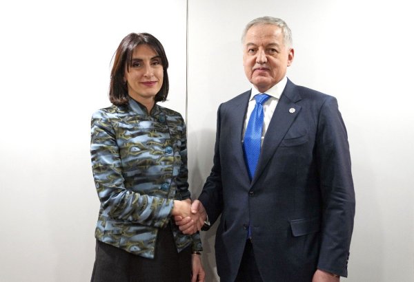 Tajikistan, Georgia discuss expanding economic co-op at OSCE meeting