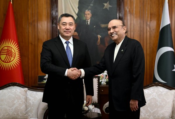 Kyrgyzstan and Pakistan discussed deepening investment cooperation