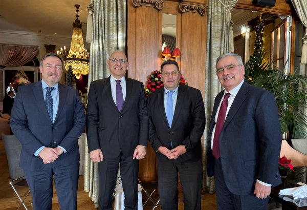 Azerbaijani Presidential envoy holds key talks in Switzerland (PHOTO)