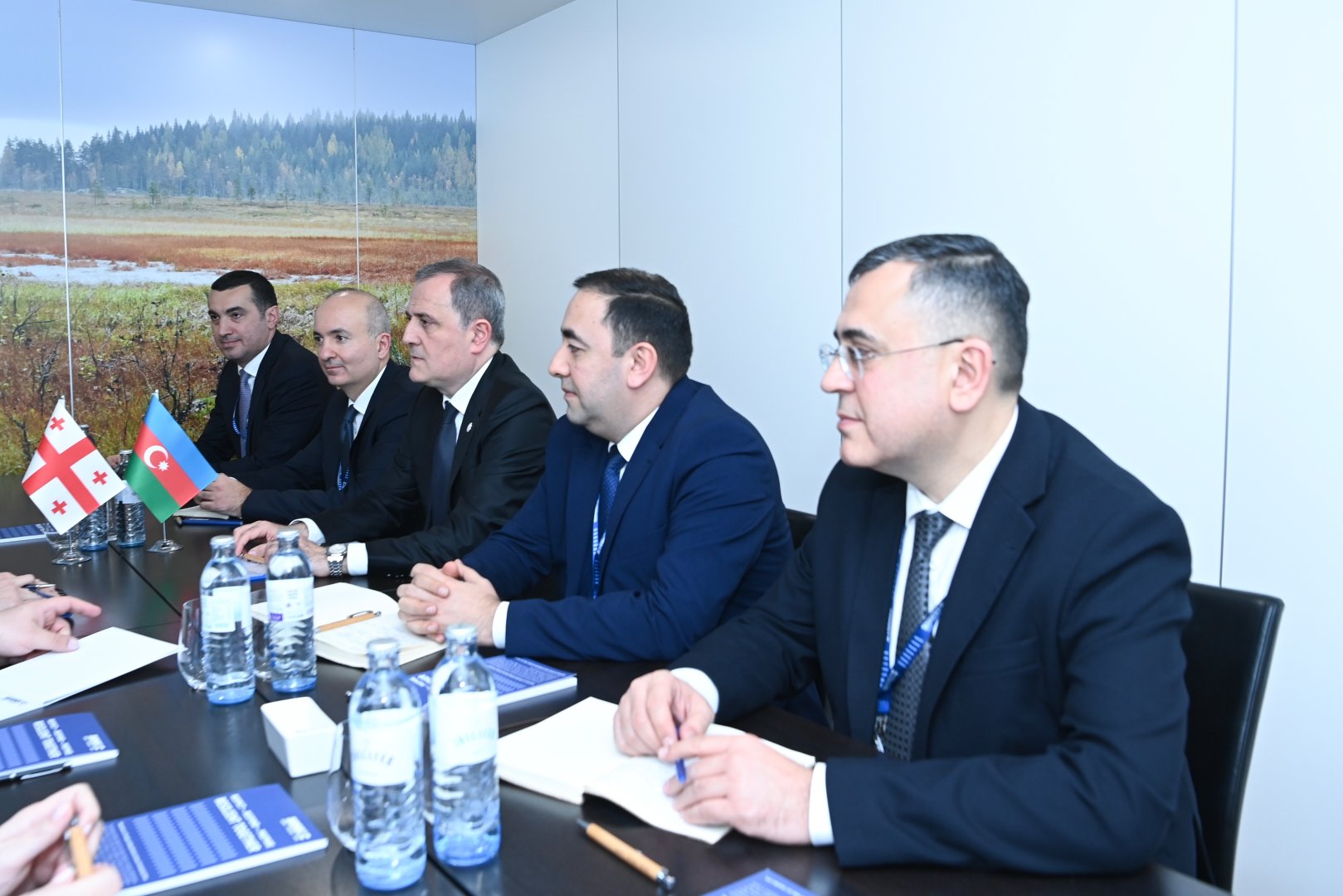 Azerbaijani, Georgian ministers discuss new joint projects (PHOTO)