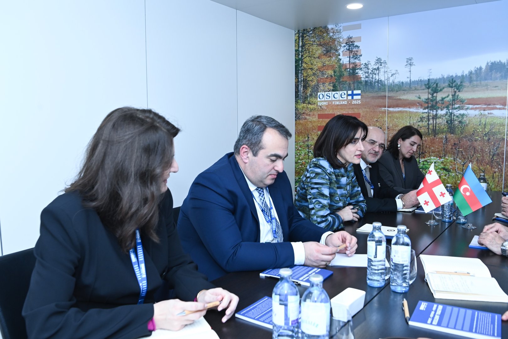 Azerbaijani, Georgian ministers discuss new joint projects (PHOTO)