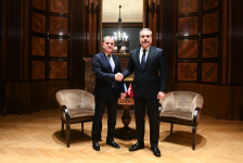 Azerbaijani, Turkish ministers discuss expanded economic cooperation in Vienna (PHOTO)