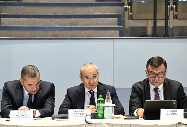 Azerbaijan sheds light on steps towards WTO membership (PHOTO)