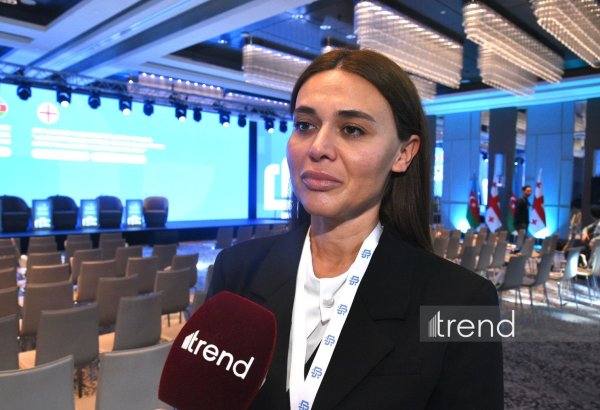 Georgia, Azerbaijan likely to take media co-op to new level - official (Exclusive)