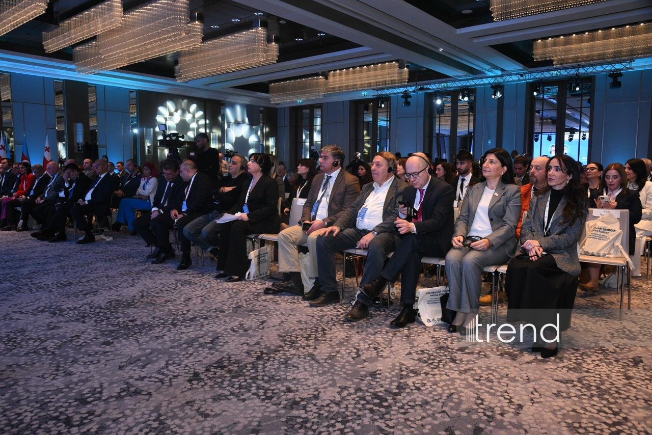 Azerbaijan-Georgia Media Forum wraps up in Baku (PHOTO)