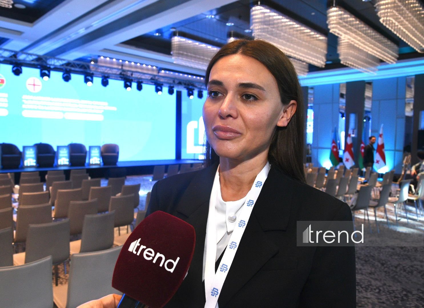 Georgia, Azerbaijan likely to take media co-op to new level - official (Exclusive)