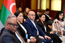 D-8 Baku Youth Declaration adopted on second day of Youth Dialogue (PHOTO)