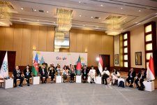D-8 Baku Youth Declaration adopted on second day of Youth Dialogue (PHOTO)